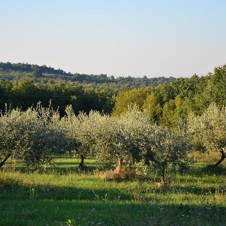Villa Olivetta By Istrian Country Houses Barat  Zewnętrze zdjęcie