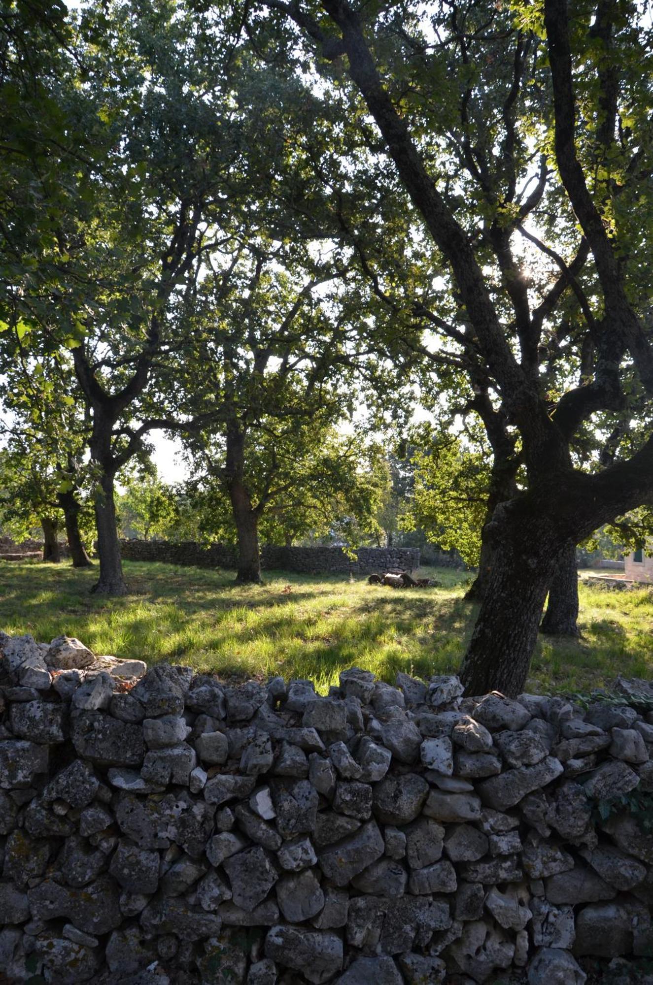 Villa Olivetta By Istrian Country Houses Barat  Zewnętrze zdjęcie