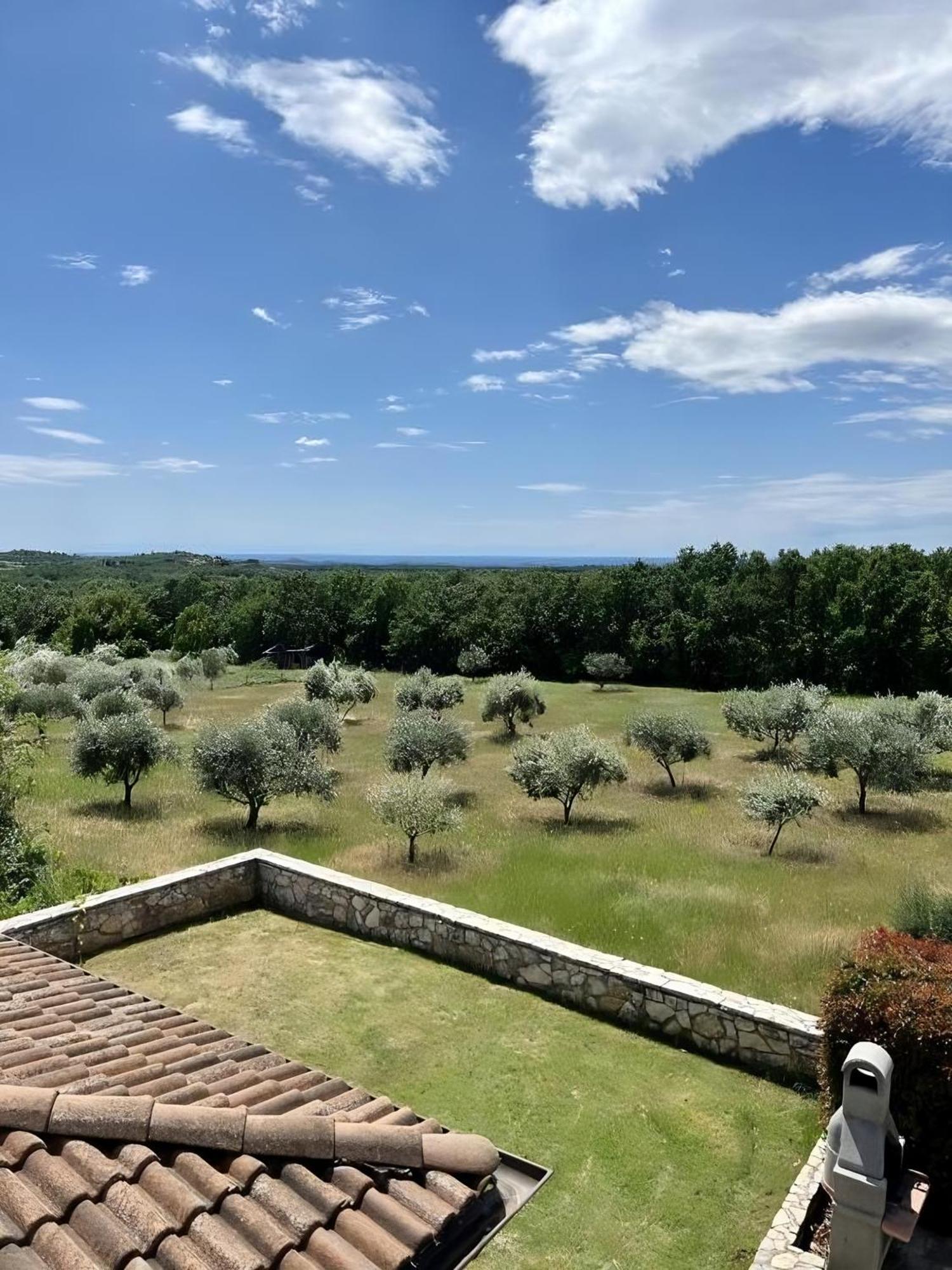 Villa Olivetta By Istrian Country Houses Barat  Zewnętrze zdjęcie
